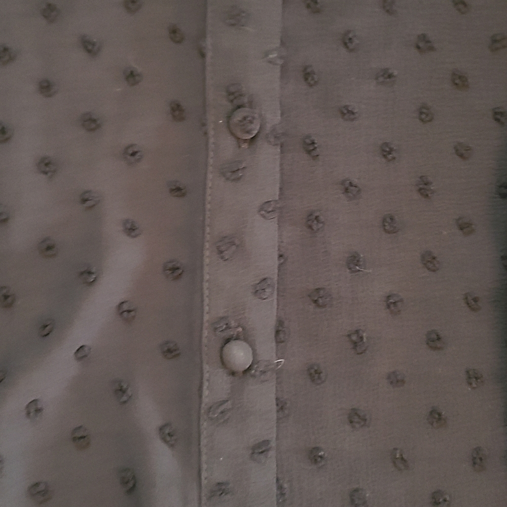 Textured Button-Front Ruffle Collar Blouse - Picture 5 of 10